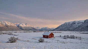 vinterfugler i Norge, Kjøttmeis, Gråspurv, Dompap, Rødvingetrost, Kattugle, fugletitting, natur